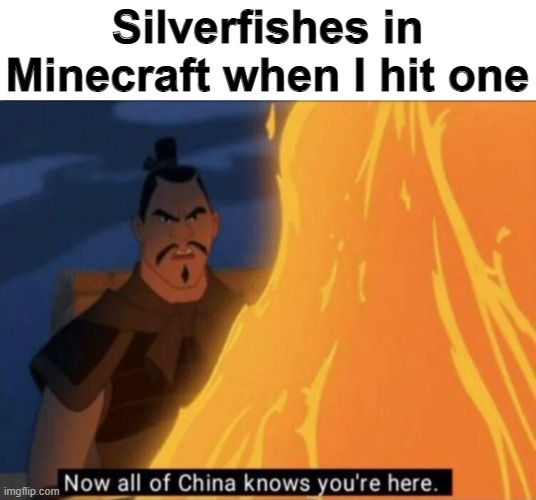 Silverfishes... | Silverfishes in Minecraft when I hit one | image tagged in now all of china knows you're here | made w/ Imgflip meme maker