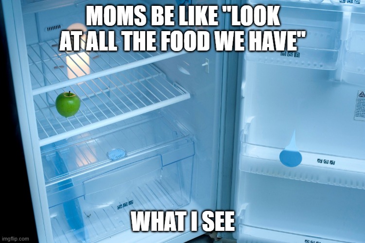 empty fridge | MOMS BE LIKE "LOOK AT ALL THE FOOD WE HAVE"; WHAT I SEE | image tagged in empty fridge | made w/ Imgflip meme maker