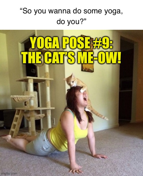 Cat Yoga | YOGA POSE #9:
THE CAT’S ME-OW! | image tagged in cat,yoga | made w/ Imgflip meme maker