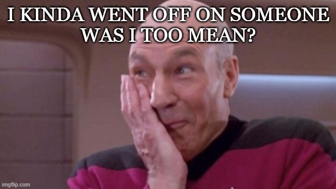 picard oops | I KINDA WENT OFF ON SOMEONE
WAS I TOO MEAN? | image tagged in picard oops | made w/ Imgflip meme maker