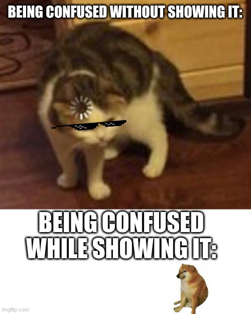 Loading cat | BEING CONFUSED WITHOUT SHOWING IT:; BEING CONFUSED WHILE SHOWING IT: | image tagged in loading cat | made w/ Imgflip meme maker