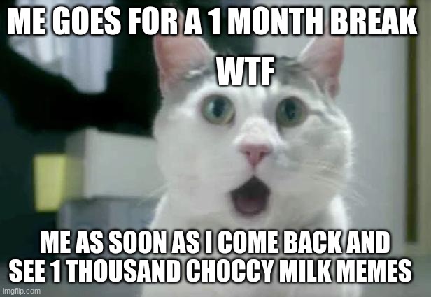 Choccy Milk Memes Have Over Run | ME GOES FOR A 1 MONTH BREAK; WTF; ME AS SOON AS I COME BACK AND SEE 1 THOUSAND CHOCCY MILK MEMES | image tagged in memes,omg cat,choccy milk | made w/ Imgflip meme maker