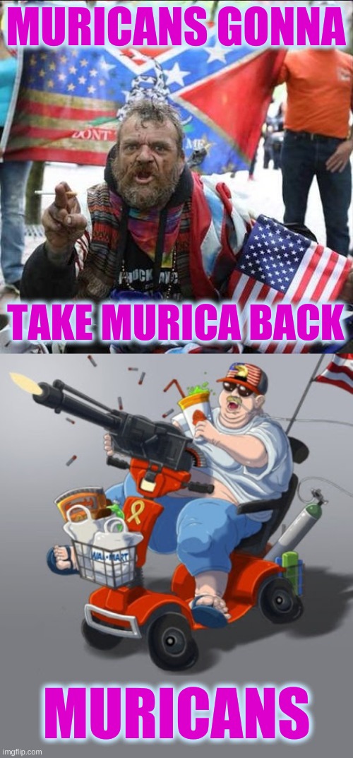 MURICANS GONNA; TAKE MURICA BACK; MURICANS | image tagged in conservative alt right tardo,mobility scooter conservative alt right tardo,conservative logic,qanon,murica,confederate flag | made w/ Imgflip meme maker