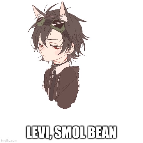 LEVI, SMOL BEAN | made w/ Imgflip meme maker