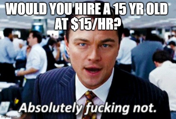 absolutely not | WOULD YOU HIRE A 15 YR OLD 
AT $15/HR? | image tagged in absolutely not | made w/ Imgflip meme maker
