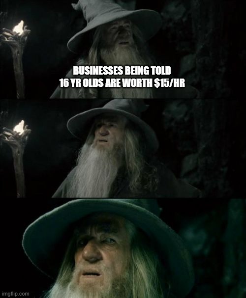 Confused Gandalf | BUSINESSES BEING TOLD 16 YR OLDS ARE WORTH $15/HR | image tagged in memes,confused gandalf | made w/ Imgflip meme maker