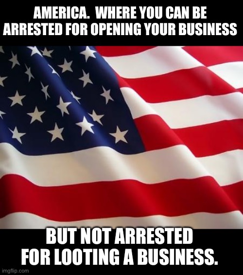 'Murica! | AMERICA.  WHERE YOU CAN BE ARRESTED FOR OPENING YOUR BUSINESS; BUT NOT ARRESTED FOR LOOTING A BUSINESS. | image tagged in american flag | made w/ Imgflip meme maker