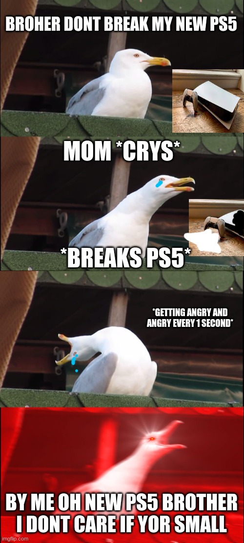 when my brother breaks my ps5 | BROHER DONT BREAK MY NEW PS5; MOM *CRYS*; *BREAKS PS5*; *GETTING ANGRY AND ANGRY EVERY 1 SECOND*; BY ME OH NEW PS5 BROTHER I DONT CARE IF YOR SMALL | image tagged in memes,inhaling seagull | made w/ Imgflip meme maker