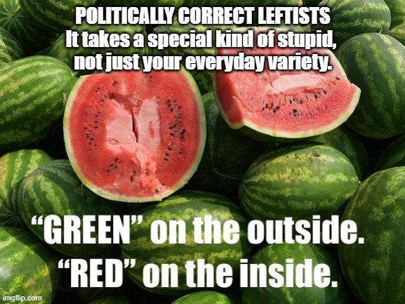 Politically Correct | POLITICALLY CORRECT LEFTISTS
It takes a special kind of stupid, 
not just your everyday variety. | image tagged in democrats,politically correct,socialists,woke,green,communist socialist | made w/ Imgflip meme maker