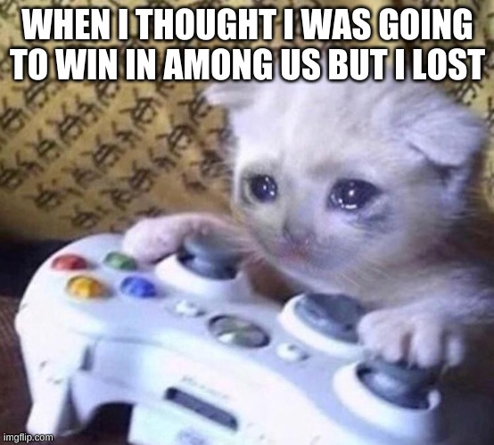 Sad Gamer Cat | WHEN I THOUGHT I WAS GOING TO WIN IN AMONG US BUT I LOST | image tagged in sad gamer cat | made w/ Imgflip meme maker