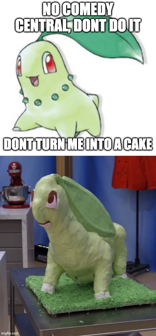 NO COMEDY CENTRAL, DONT DO IT DONT TURN ME INTO A CAKE | image tagged in chikorita | made w/ Imgflip meme maker