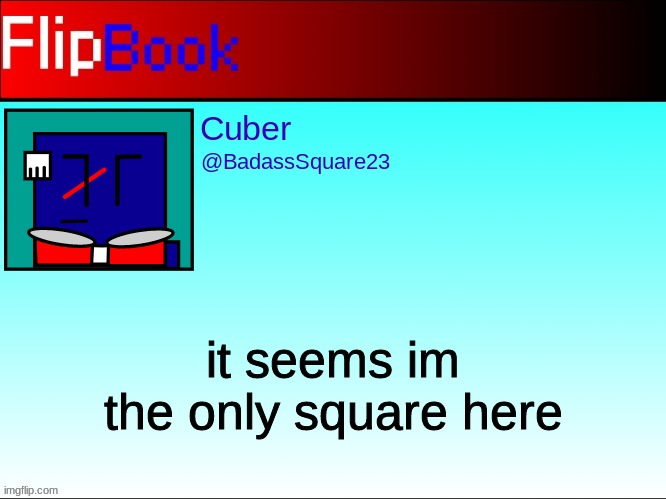 FlipBook profile | it seems im the only square here | image tagged in flipbook profile | made w/ Imgflip meme maker