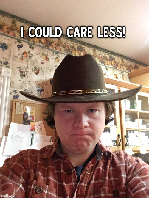 I could care less! | I COULD CARE LESS! | image tagged in disgusted cowboy,disapproval,memes,cowboy,disgusted | made w/ Imgflip meme maker