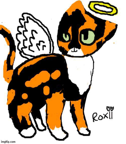 i tried drawing my cat | image tagged in roxii | made w/ Imgflip meme maker