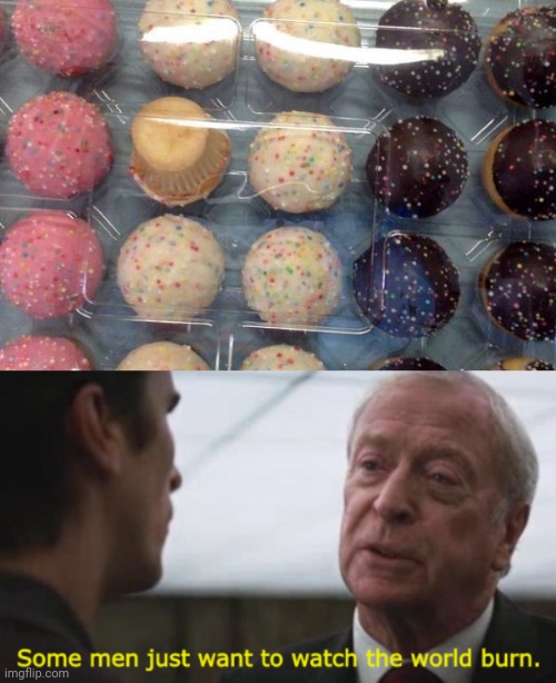 One cupcake upside down | image tagged in some men just want to watch the world burn,cupcakes,cupcake,sprinkles,you had one job,memes | made w/ Imgflip meme maker