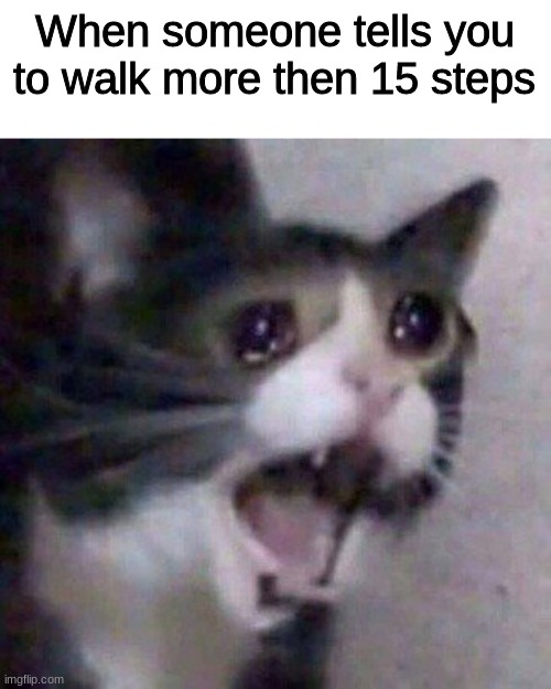 Screaming Cat meme | When someone tells you to walk more then 15 steps | image tagged in screaming cat meme,memes | made w/ Imgflip meme maker