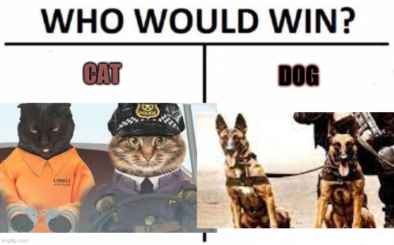 who do you like? | CAT; DOG | image tagged in cats,dogs | made w/ Imgflip meme maker