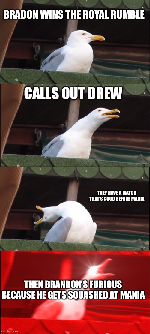 Inhaling Seagull Meme | BRADON WINS THE ROYAL RUMBLE; CALLS OUT DREW; THEY HAVE A MATCH THAT’S GOOD BEFORE MANIA; THEN BRANDON’S FURIOUS BECAUSE HE GETS SQUASHED AT MANIA | image tagged in memes,inhaling seagull | made w/ Imgflip meme maker