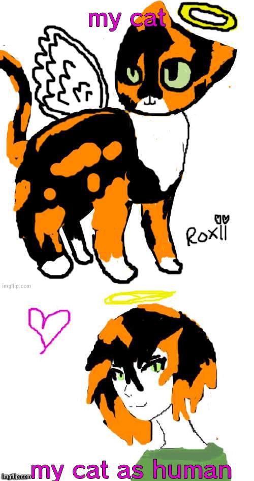 are they good? | my cat; my cat as human | made w/ Imgflip meme maker