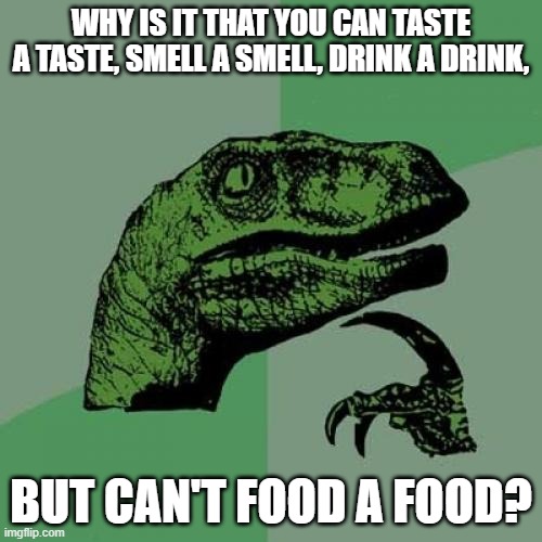 nouns and verbs | WHY IS IT THAT YOU CAN TASTE A TASTE, SMELL A SMELL, DRINK A DRINK, BUT CAN'T FOOD A FOOD? | image tagged in memes,philosoraptor | made w/ Imgflip meme maker