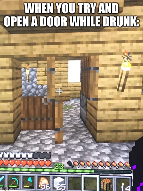 Lmao | WHEN YOU TRY AND OPEN A DOOR WHILE DRUNK: | image tagged in funny | made w/ Imgflip meme maker