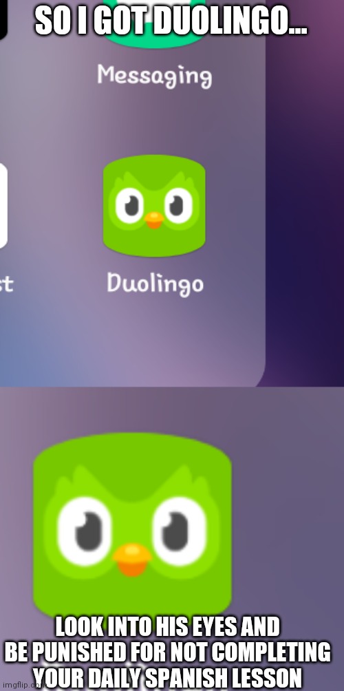 Cursed duolingo | SO I GOT DUOLINGO... LOOK INTO HIS EYES AND BE PUNISHED FOR NOT COMPLETING YOUR DAILY SPANISH LESSON | image tagged in duolingo | made w/ Imgflip meme maker