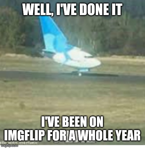 Yay | WELL, I'VE DONE IT; I'VE BEEN ON IMGFLIP FOR A WHOLE YEAR | image tagged in plne | made w/ Imgflip meme maker
