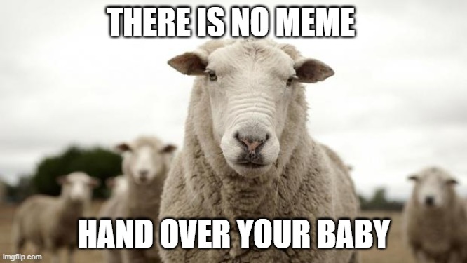Sheep |  THERE IS NO MEME; HAND OVER YOUR BABY | image tagged in sheep | made w/ Imgflip meme maker