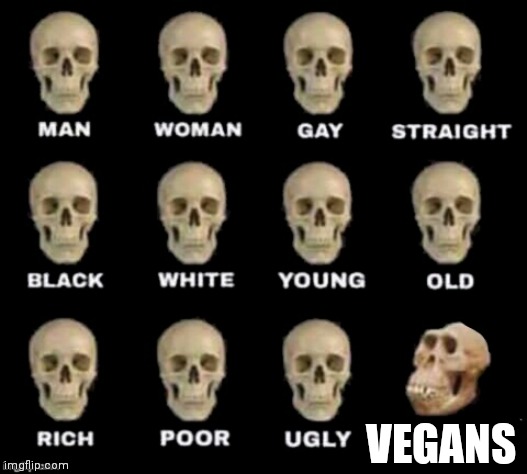 idiot skull | VEGANS | image tagged in idiot skull | made w/ Imgflip meme maker