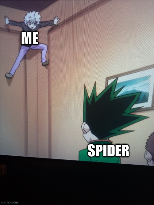 Spider-Killua | ME; SPIDER | image tagged in spider-killua | made w/ Imgflip meme maker