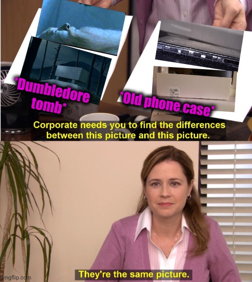 -Wizardly. | *Dumbledore tomb*; *Old phone case* | image tagged in memes,they're the same picture,old,phone,tomb raider,harry potter meme | made w/ Imgflip meme maker