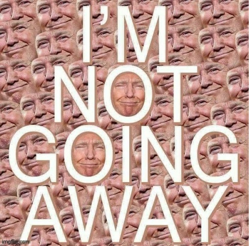It’s ture suck it libtrads maga | image tagged in trump i m not going away,maga,libtards,repost,donald trump,forever | made w/ Imgflip meme maker