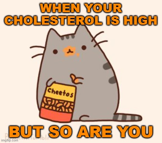 Breakfast of champions! | WHEN YOUR CHOLESTEROL IS HIGH; BUT SO ARE YOU | image tagged in pusheen stole the cheetos,cheetos,too damn high | made w/ Imgflip meme maker