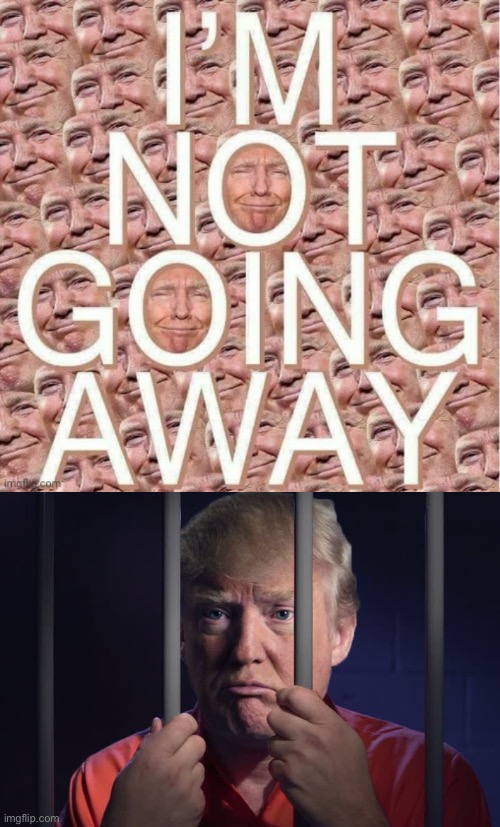 Things that make you go are you sure about that | image tagged in trump i m not going away,trump jail bars steel wall | made w/ Imgflip meme maker