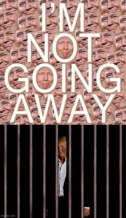 Things that make you go are you sure about that | image tagged in trump i m not going away,trump prison | made w/ Imgflip meme maker