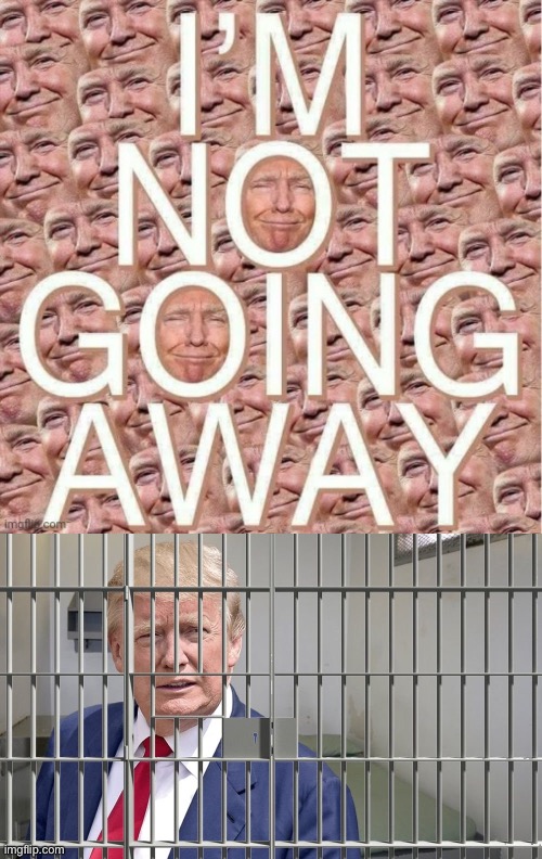 Things that make you go are you sure about that | image tagged in trump i m not going away,trump prison coke,trump,donald trump,conservative logic,prison | made w/ Imgflip meme maker