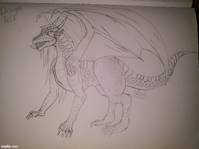 Some art of Dragon Felix in his dragon form (a different version of  Felix Grimm; there are about seven versions of him so far) | image tagged in original character,oc,dragons,drawing,dragon | made w/ Imgflip meme maker