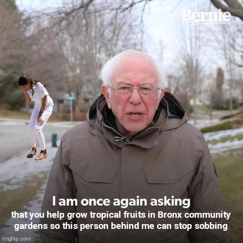 Bernie I Am Once Again Asking For Your Support Meme | that you help grow tropical fruits in Bronx community     gardens so this person behind me can stop sobbing | image tagged in memes,bernie i am once again asking for your support | made w/ Imgflip meme maker