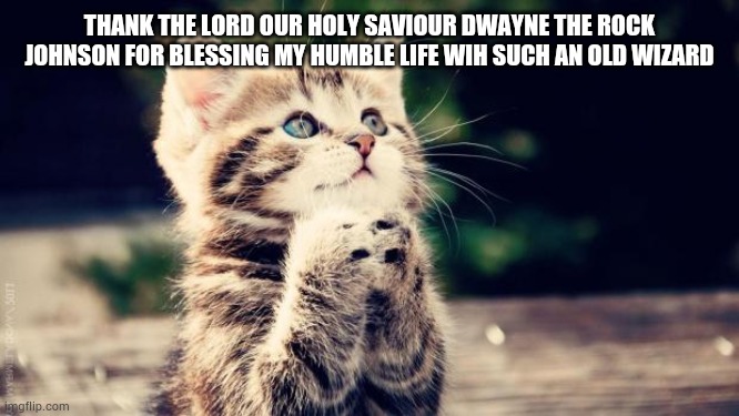 Praying cat | THANK THE LORD OUR HOLY SAVIOUR DWAYNE THE ROCK JOHNSON FOR BLESSING MY HUMBLE LIFE WIH SUCH AN OLD WIZARD | image tagged in praying cat | made w/ Imgflip meme maker