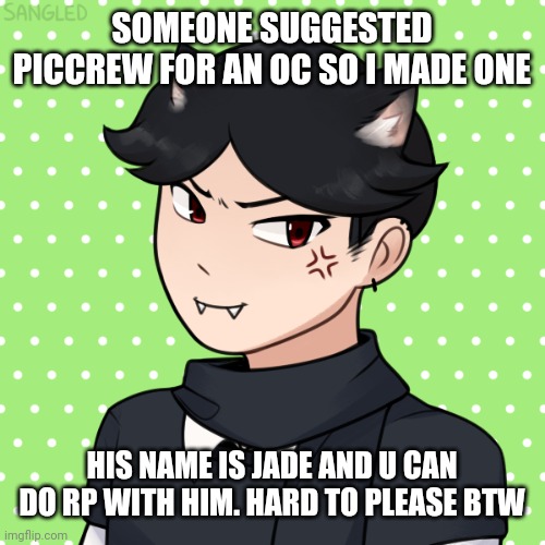 Shore | SOMEONE SUGGESTED PICCREW FOR AN OC SO I MADE ONE; HIS NAME IS JADE AND U CAN DO RP WITH HIM. HARD TO PLEASE BTW | image tagged in oc,idk,why not | made w/ Imgflip meme maker