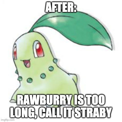 Chikorita | AFTER: RAWBURRY IS TOO LONG, CALL IT STRABY | image tagged in chikorita | made w/ Imgflip meme maker