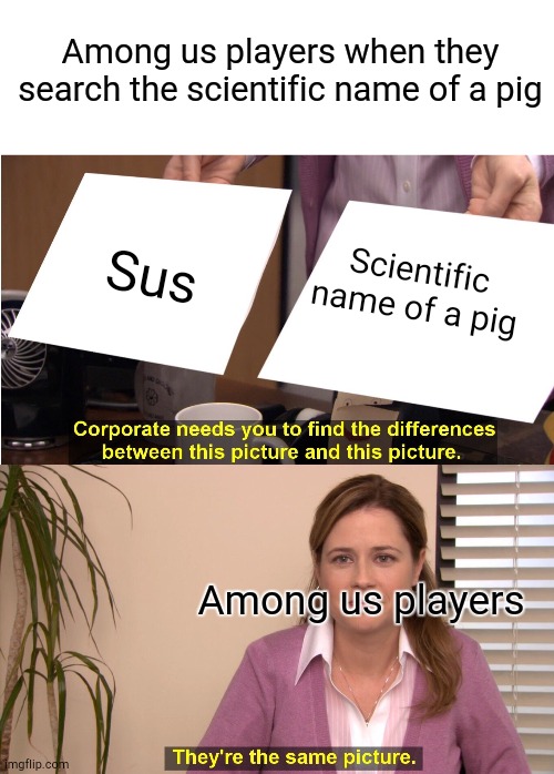 Plz dont search the scientific name of a pig! | Among us players when they search the scientific name of a pig; Sus; Scientific name of a pig; Among us players | image tagged in memes,they're the same picture,sus,among us | made w/ Imgflip meme maker
