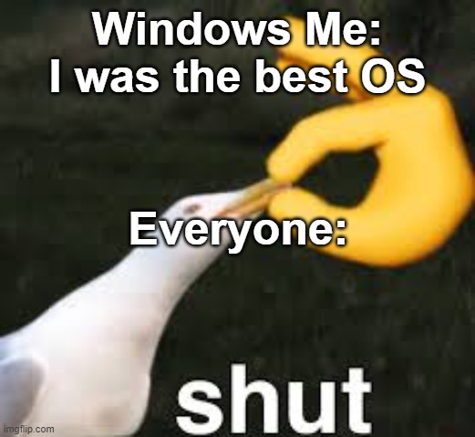 r u sure about that | Windows Me: I was the best OS; Everyone: | image tagged in shut bird,windowsme,windows | made w/ Imgflip meme maker