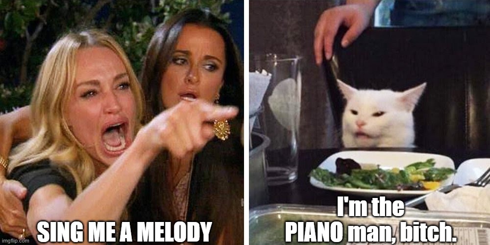 Smudge the cat | SING ME A MELODY; I'm the PIANO man, bitch. | image tagged in smudge the cat | made w/ Imgflip meme maker