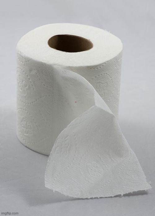 toilet paper | image tagged in toilet paper | made w/ Imgflip meme maker