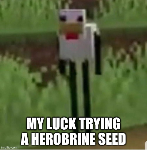 Cursed Minecraft chicken | MY LUCK TRYING A HEROBRINE SEED | image tagged in cursed minecraft chicken | made w/ Imgflip meme maker