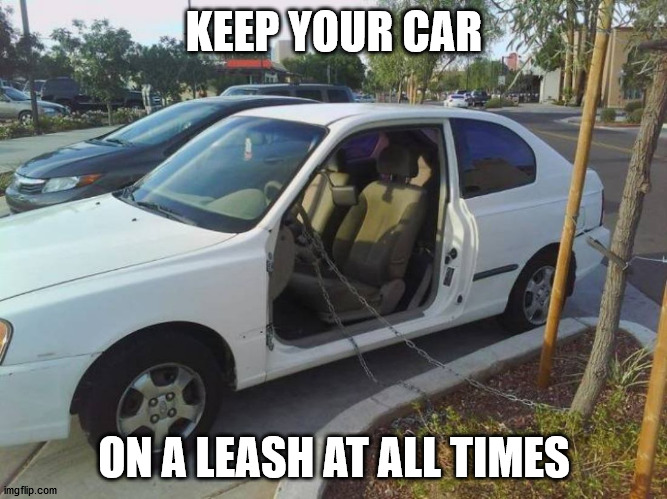 KEEP YOUR CAR; ON A LEASH AT ALL TIMES | made w/ Imgflip meme maker