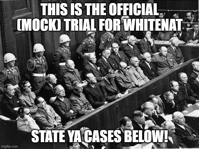 The (Mock) Trial For Whitenat | THIS IS THE OFFICIAL (MOCK) TRIAL FOR WHITENAT; STATE YA CASES BELOW! | image tagged in trial,mock trial,for,whitenat | made w/ Imgflip meme maker