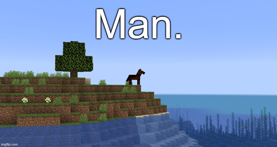 Man. |  Man. | image tagged in minecraft,horse,man | made w/ Imgflip meme maker