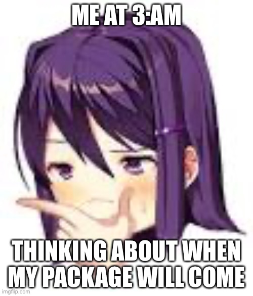 Thonking Yuri | ME AT 3:AM; THINKING ABOUT WHEN MY PACKAGE WILL COME | image tagged in thonking yuri | made w/ Imgflip meme maker